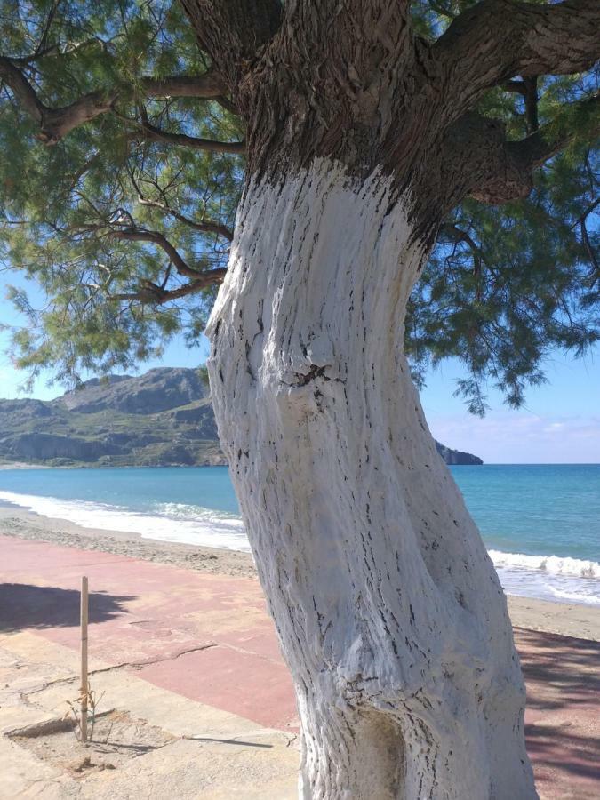 Greek Blue Apartment Plakias Extérieur photo